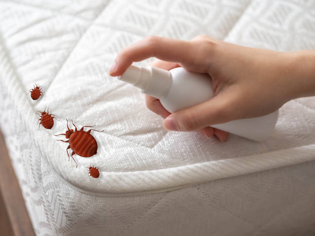 Emergency Pest Control in Ironton, OH